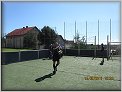 pr�pravka