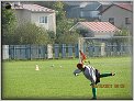Pr�pravka